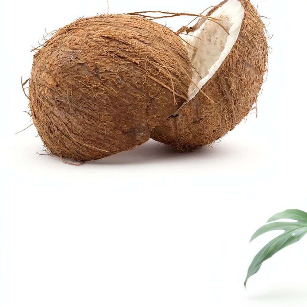 Premium Dehydrated Coconut Coi - Substrate Coconut Fiber 评论和价格